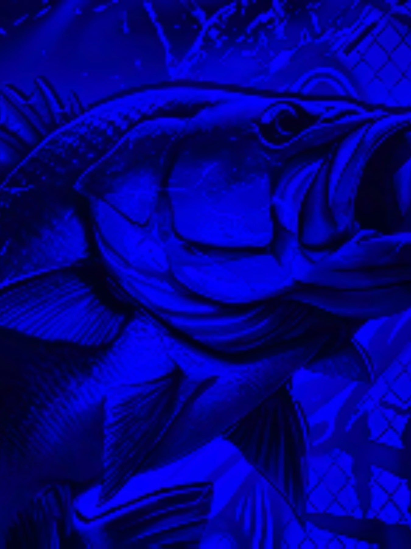 Men'S 3D Printed Fish T-Shirt | Suitable for Summer Outdoor Activities, Fishing, and Cycling | Crew Neck, Regular Fit, Slight Stretch Fabric