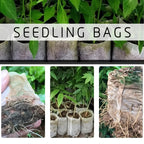 100pcs Biodegradable Seed Nursery Bags, Non-Woven Plants Grow Bags, Fabric Seedling Pots Plants Pouch, Home Garden Supply, Seedling Plant Nursery Bags For Soil Transplant Pouches Agricultural Production Supply 8.0x10.01cm - The Superior Findings Depot