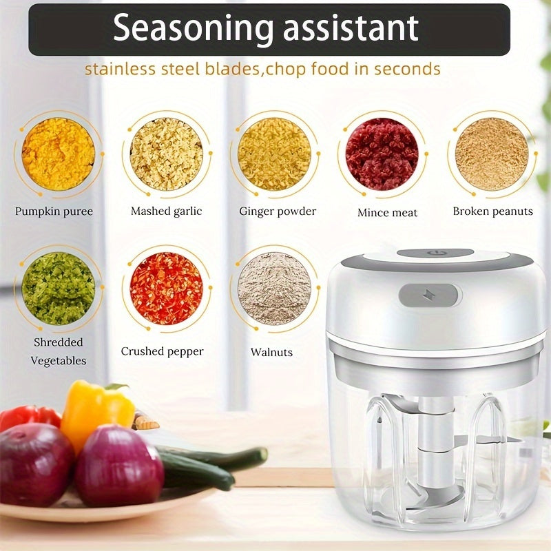 RZSYZH 250ml USB Rechargeable Electric Food Processor - Stainless Steel