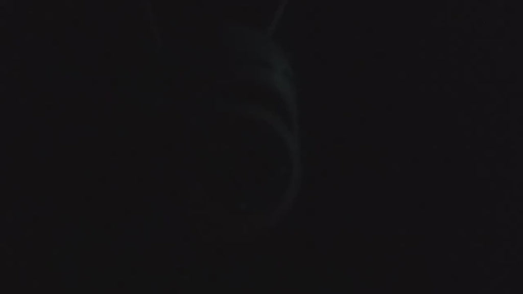 4pcs APP Compatible 1080P HD WiFi Security Cameras with PTZ, Dual Audio, LED Night Vision, Motion Detection Alarm, Wall-Mounted, Indoor/Outdoor Use, Non-Waterproof, 2MP Color